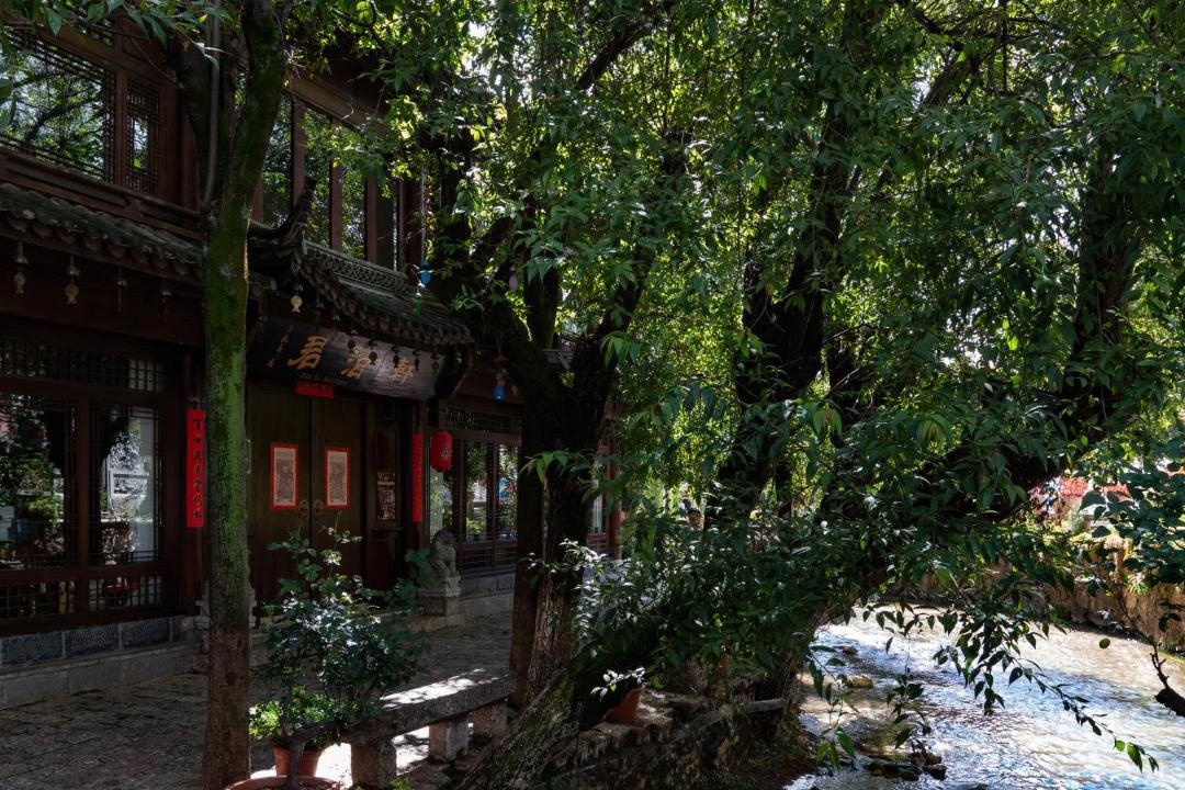 Photo of Others in Dayan Old Town
