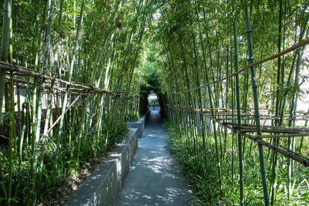 Photo of Others in Xuhui