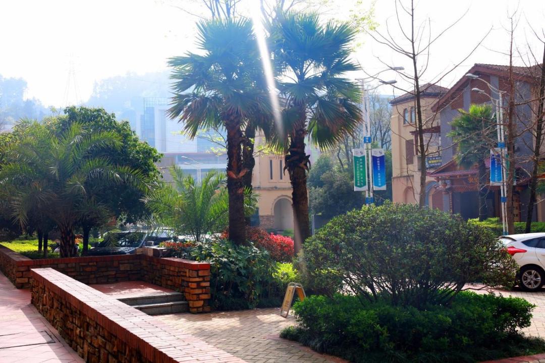 Photo of Others in Wudang District