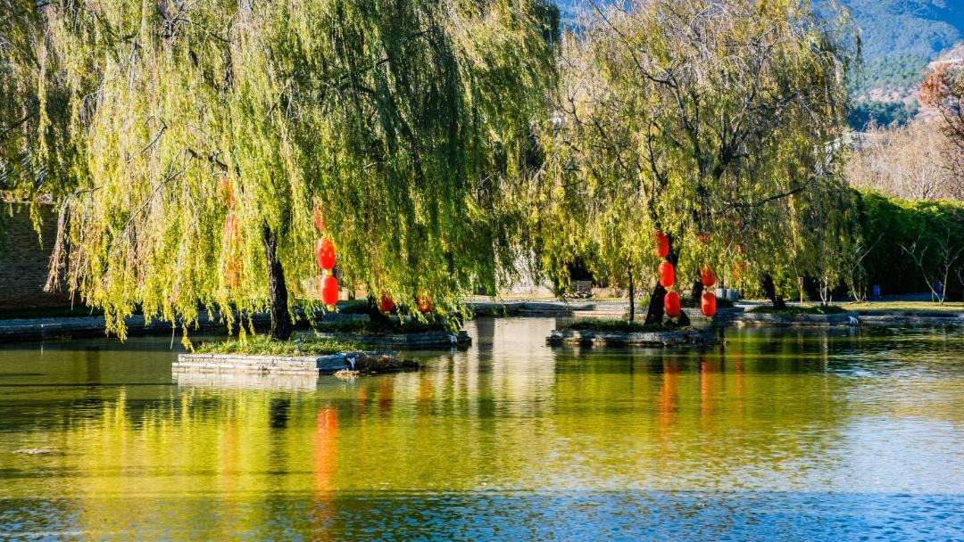 Photo of Others in Shuhe Old Town
