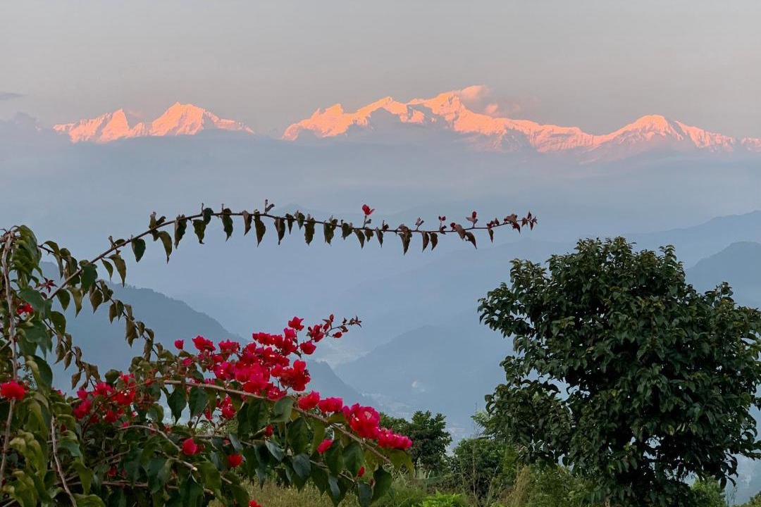 Photo of Others in Gandaki Zone