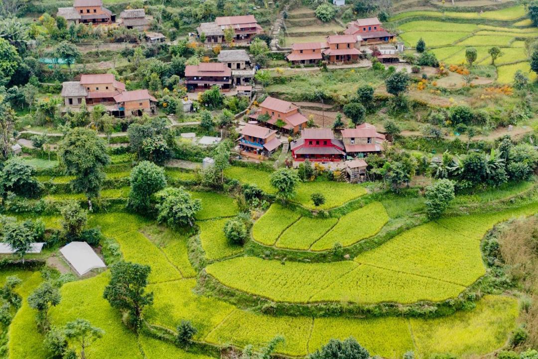 Photo of Others in Gandaki Zone