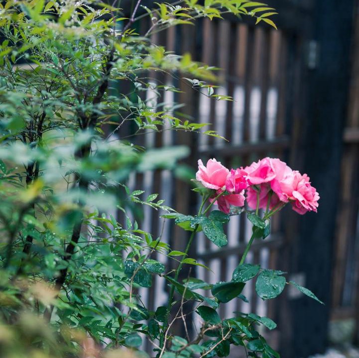 Photo of Others in Xihu