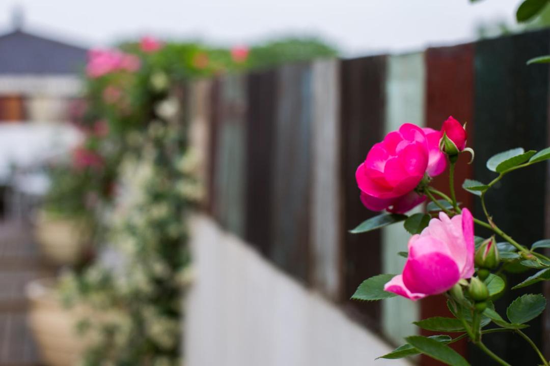 Photo of Patio Balcony in Xihu