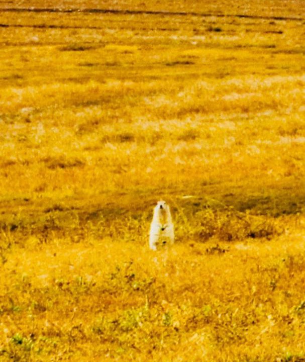Photo of Others in Xincheng District