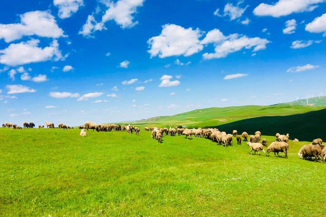 Photo of Outdoor in Xincheng District