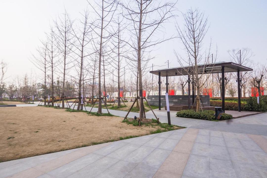 Photo of Others in Zhongyuan District