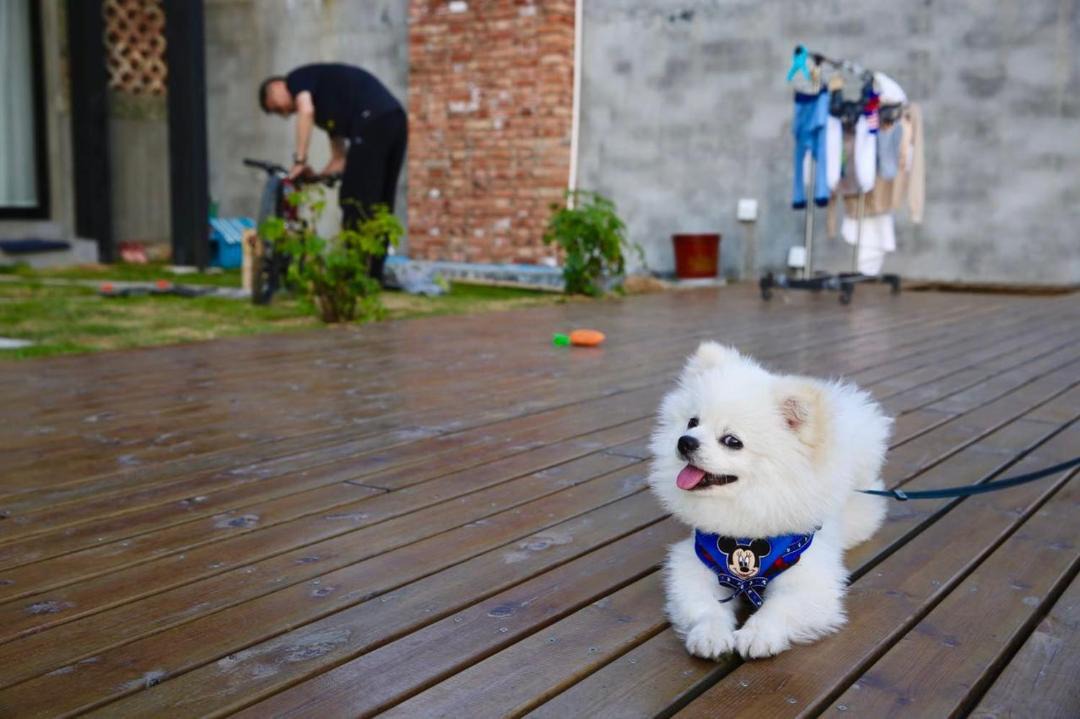 Photo of Others in Moganshan