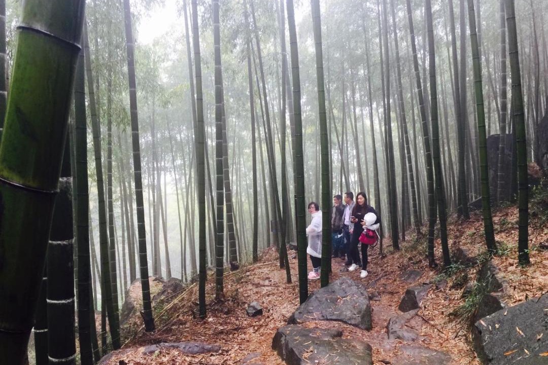 Photo of Others in Moganshan