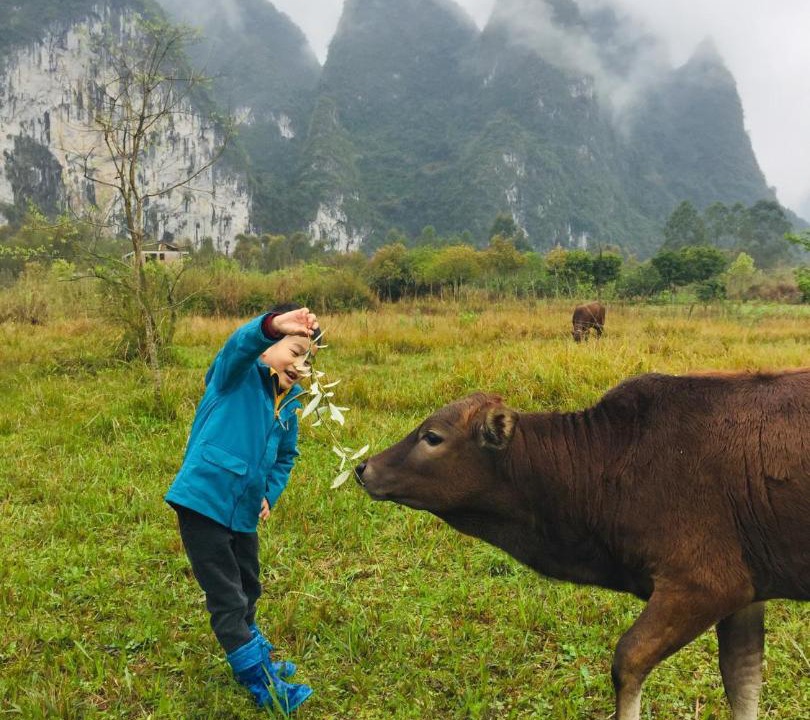 Photo of Others in Xingping Ancient Town