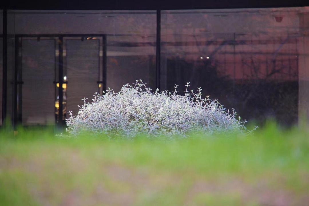 Photo of Others in Xuhui