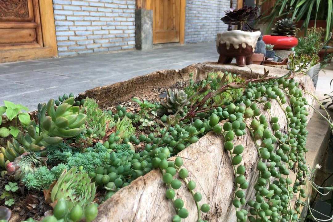Photo of Others in Shaxi