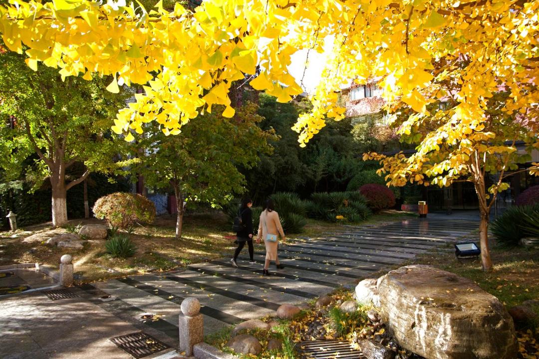 Photo of Outdoor in North Chaoyang