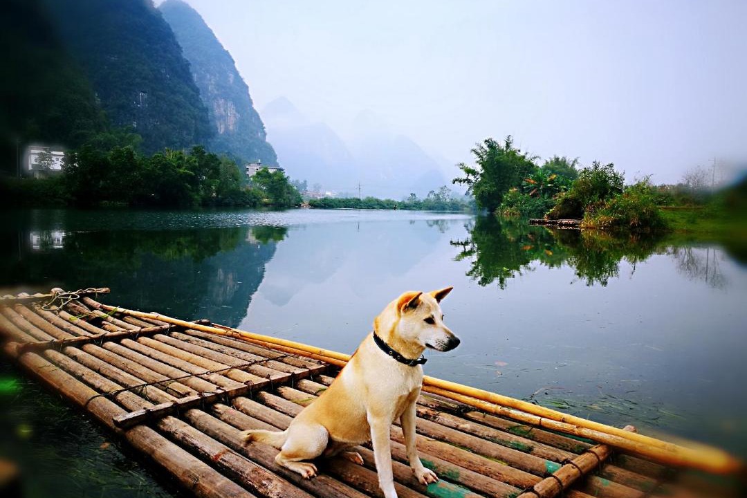 Photo of Others in Yangshuo