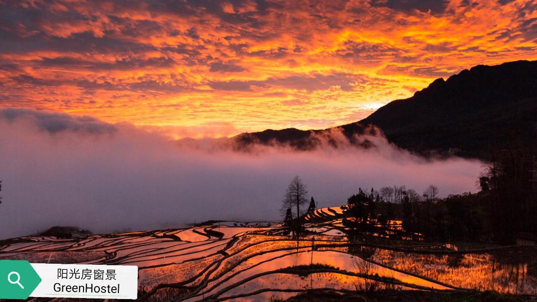 Photo of Others in Honghe