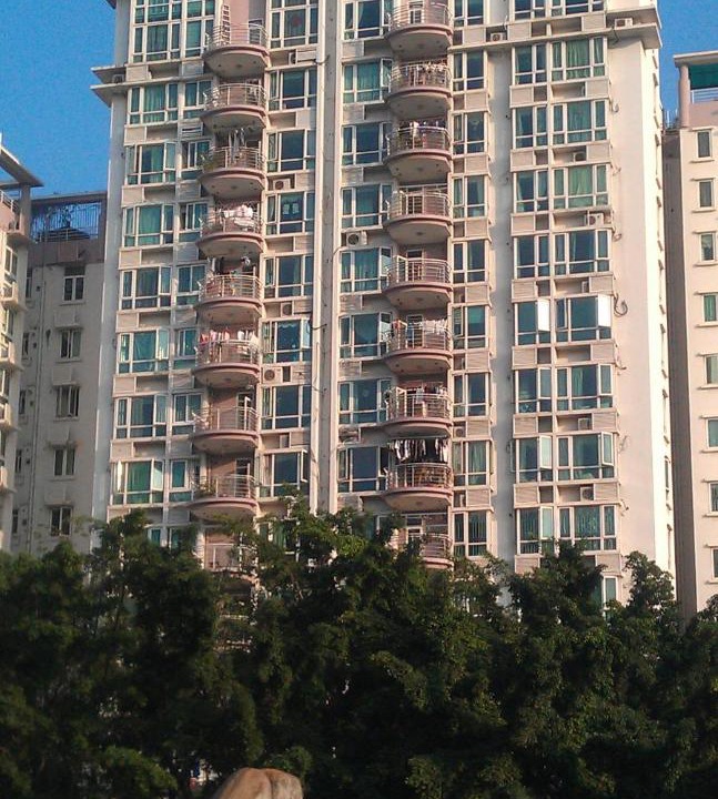 Photo of Others in Nanshan