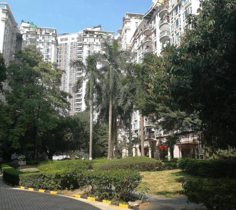 Photo of Others in Nanshan