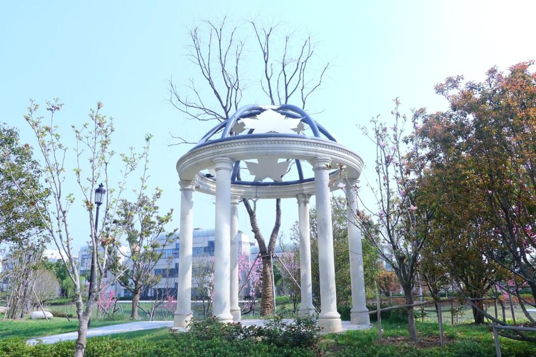 Photo of Buildings in Wuzhong