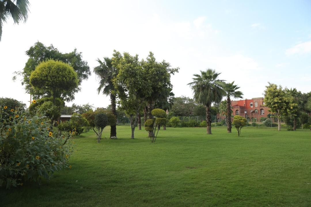Photo of Others in Chhata