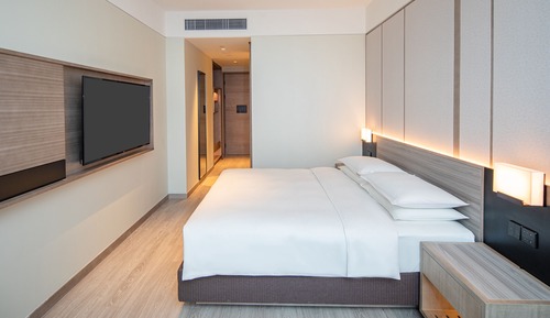 Room, 1 King Bed with Sofa bed