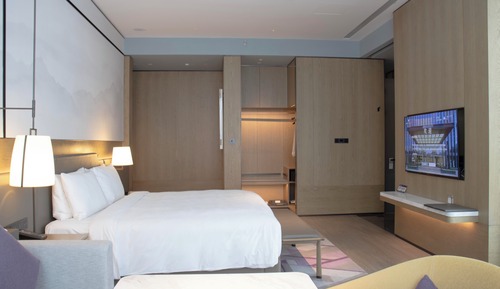 Studio, 1 King Bed (View)