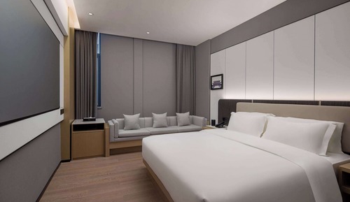 Room, 1 King Bed, Non Smoking (Theater)