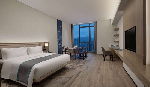 Business Room, 1 King Bed, Non Smoking