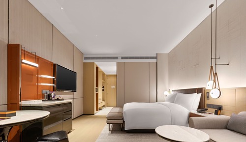 Room, 1 King Bed