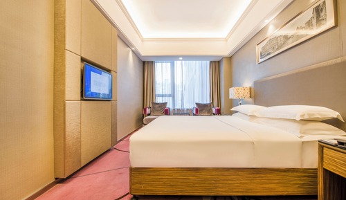 Comfort Single Room