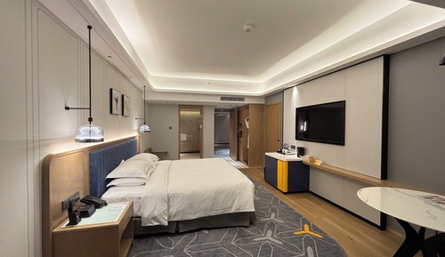 1 King Bed Standard