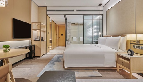 Room, 1 King Bed
