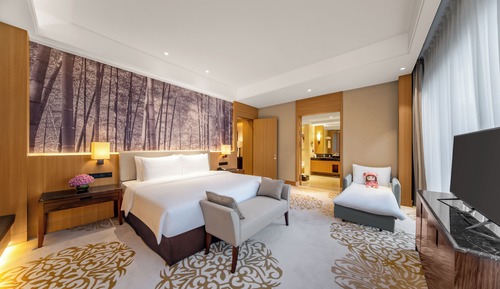 Executive Studio Suite