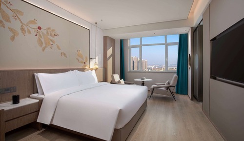 Business Room, 1 King Bed, Non Smoking