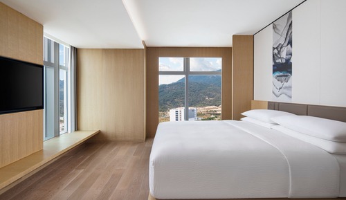 Suite, 1 King Bed, City View