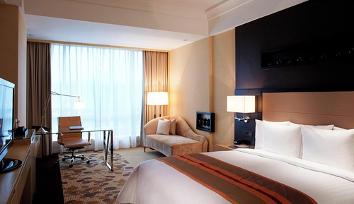 Room, 1 King Bed