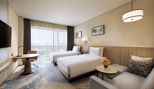Room, Multiple Beds