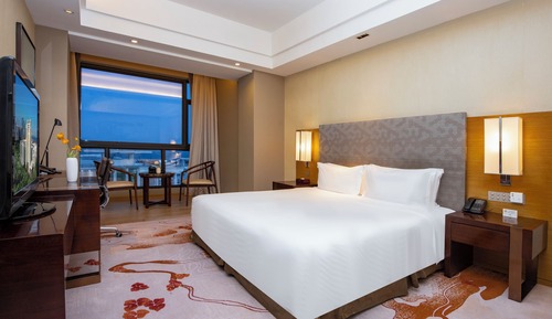 Premier Cityview King