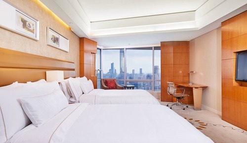 Deluxe Room, 2 Twin Beds (View)