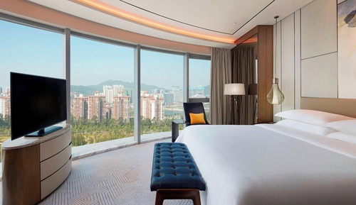Room, 1 King Bed