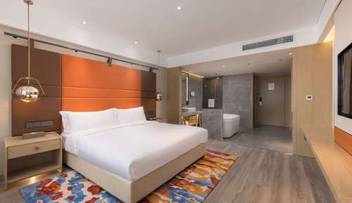 Superior Business King Room
