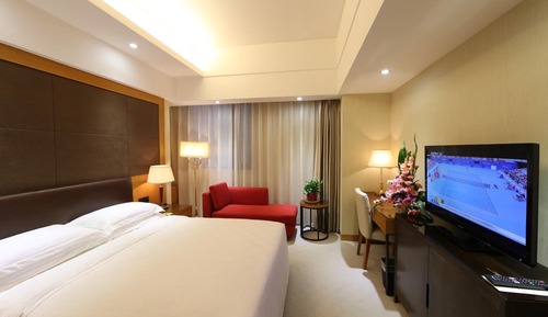 Standard Queen Room