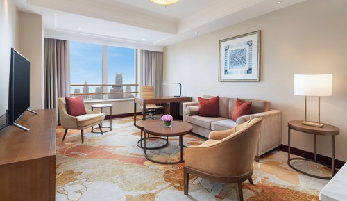 Deluxe Suite (Business Class)