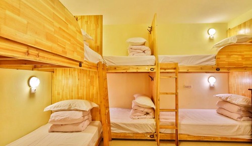 Bed in 6-Bed Mixed Dormitory Room