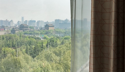 Suite, 1 Bedroom