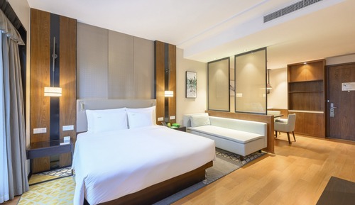 Studio Suite, 1 King Bed (Additional Living Area)