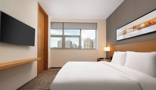 Suite, 1 King Bed with Sofa bed