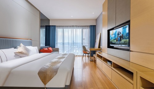 Deluxe Double Room Single Use