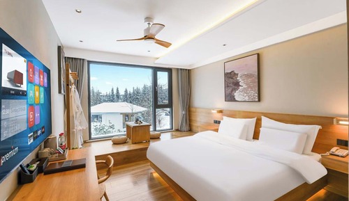 Classic Double Room, Mountain View