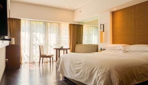 Mountain View King Room