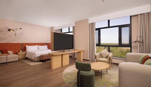 Premium Room, 1 King Bed with Sofa bed